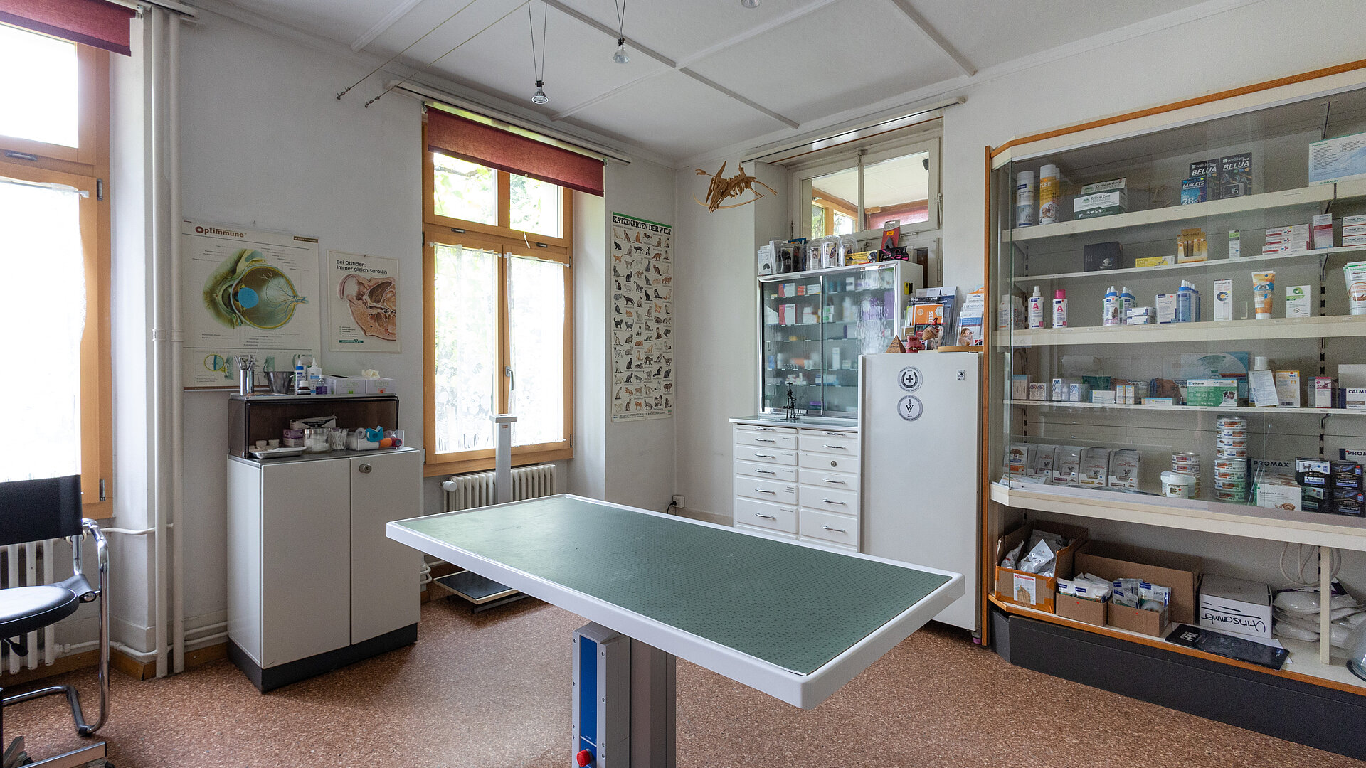 Behandlungszimmer Matten